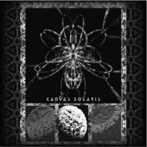 Canvas Solaris: Cortical Tectonics